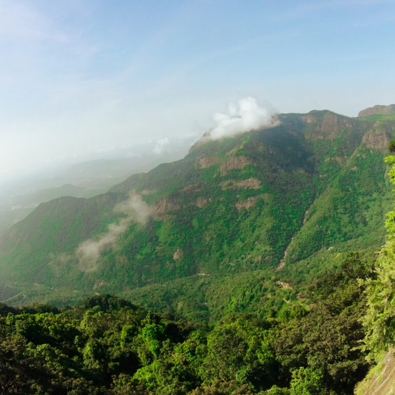 Green Forest Mountains view near Nilgri hills in India, Tamil Nadu