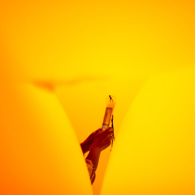 People taking pictures with smartphones - Street Photography in Japan