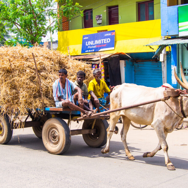 Street Photography in Chennai, India